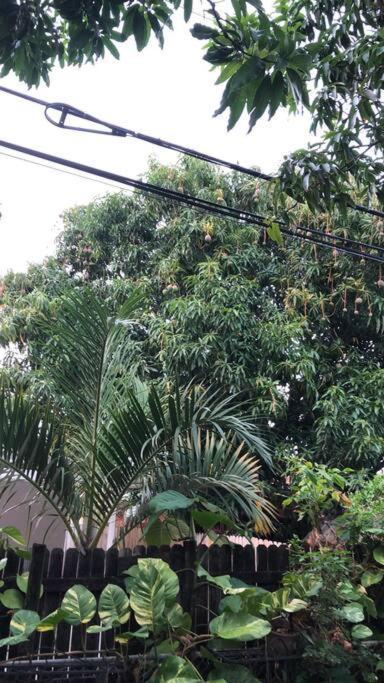 Private In The Heart Of Calle Ocho Habitación en casa particular *